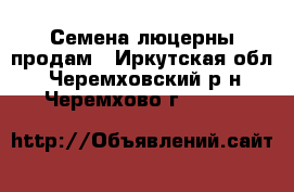 Семена люцерны продам - Иркутская обл., Черемховский р-н, Черемхово г.  »    